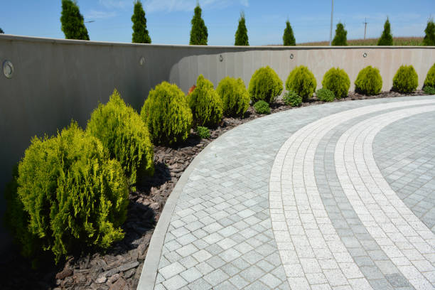 Best Local Driveway Pavers  in Amsterdam, NY